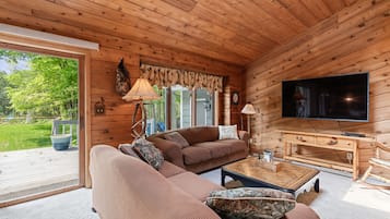 Smart TV, fireplace, DVD player, books