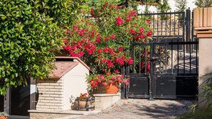 A paved pathway leading to a gated entrance with a brick structure and potted plants. - Apartment OLIVE with private garden 250m2 (Vinkuran)