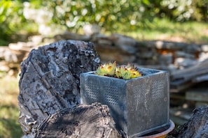 A concrete planter with succulents, placed on a log. - Apartment casa MELITA with garden near Pula (Štinjan)