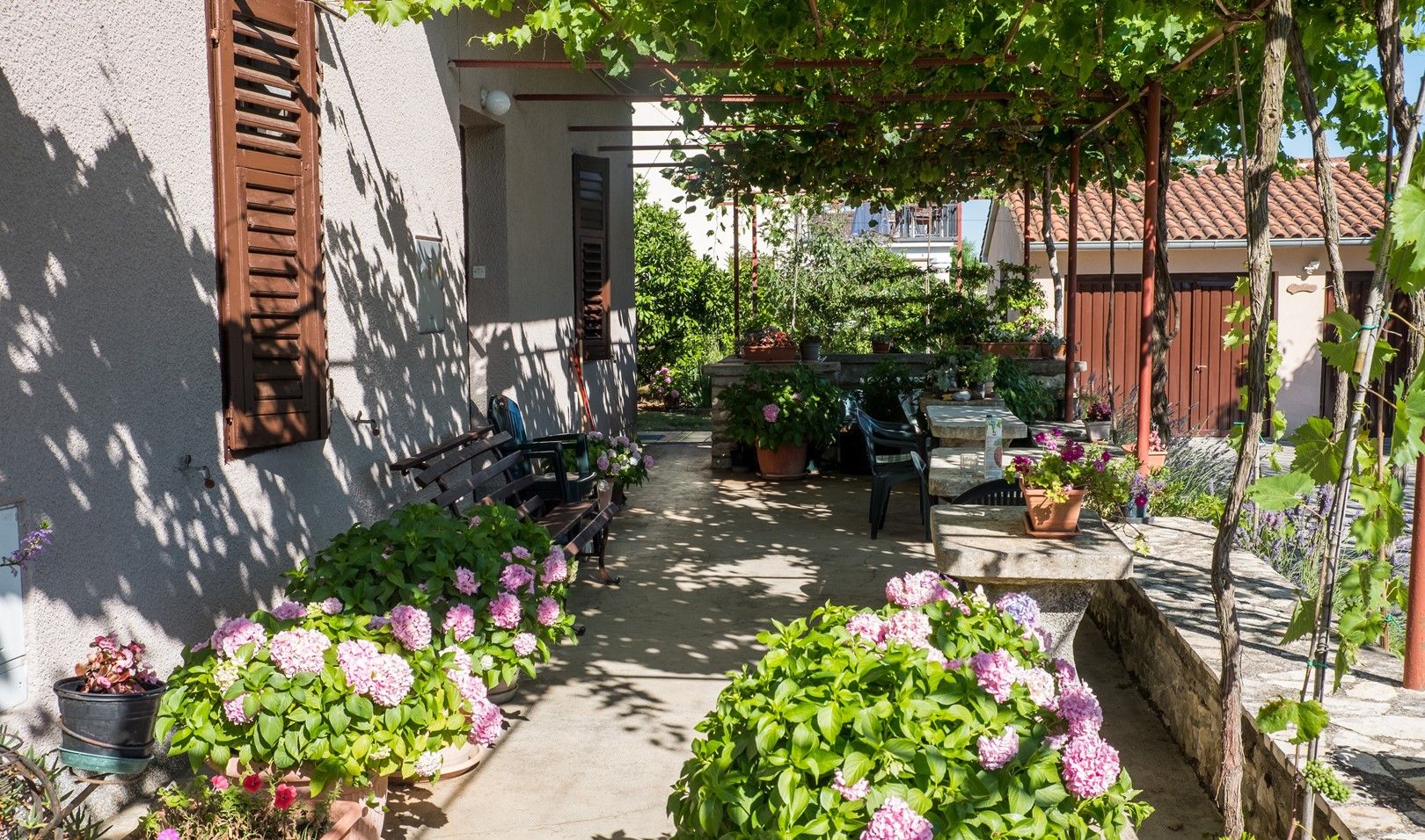 A narrow pathway lined with potted plants and a bench, leading to a building with a brown shutter and a small window.