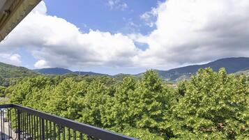 Appartamento | 1 camera