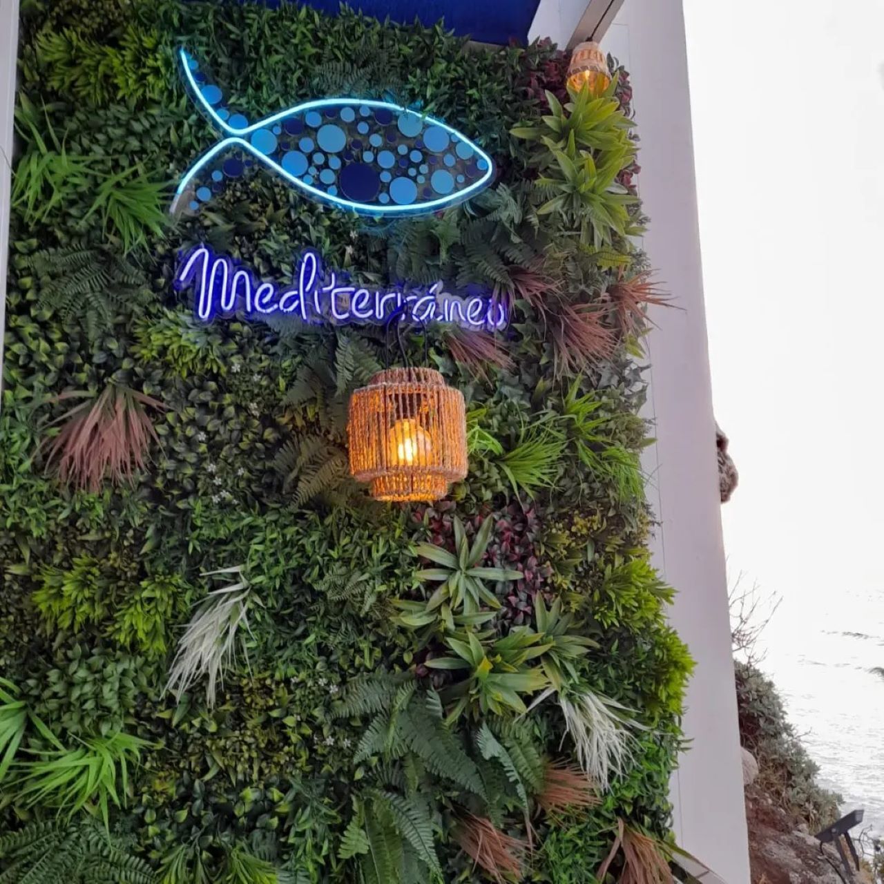 A wall decorated with various plants and a neon sign that reads "Mediterranean."