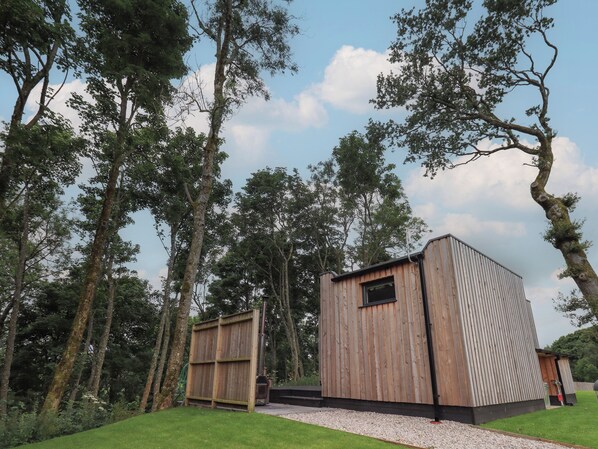 A wooden cabin with a small window, surrounded by tall trees and a grassy area. - Bluebell Cabin (Penrith)