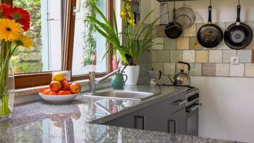 Fridge, oven, stovetop, coffee/tea maker