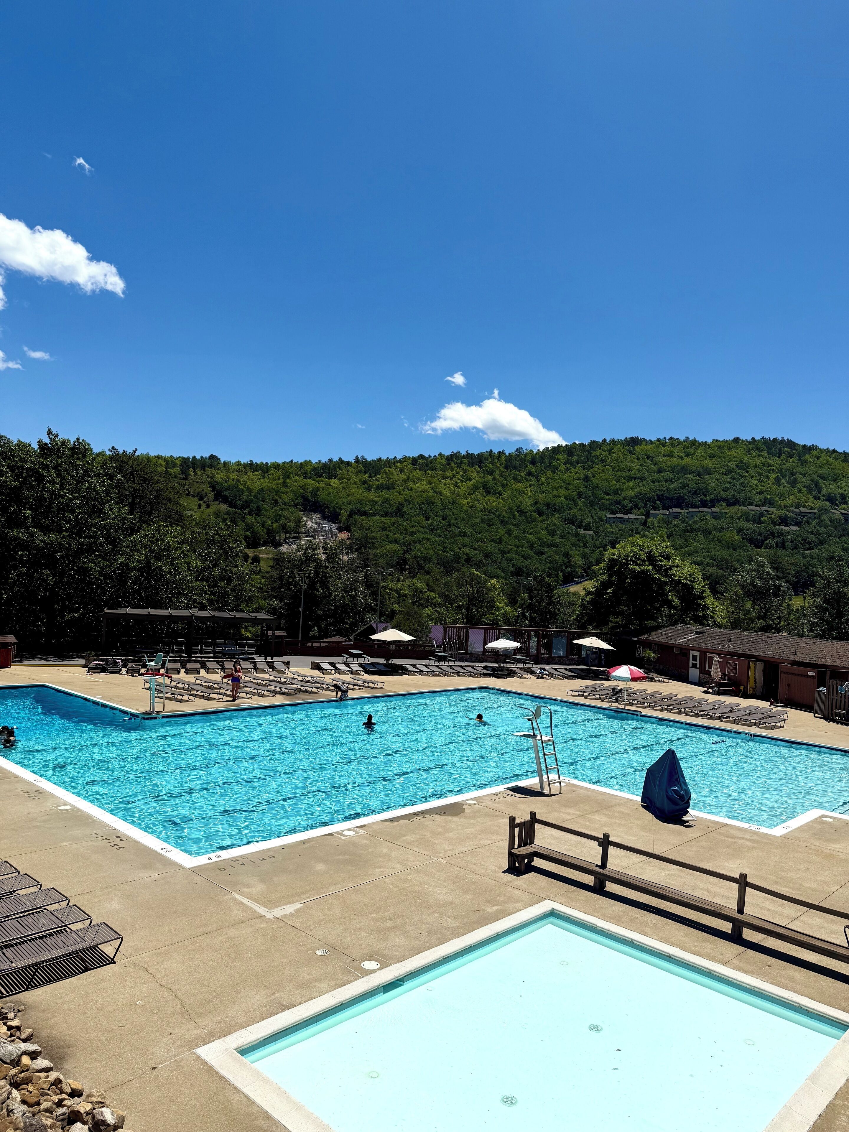 Une piscine rectangulaire dotée d’un plongeoir, entourée de chaises longues et de parasols, le tout situé devant un paysage de colline boisée.