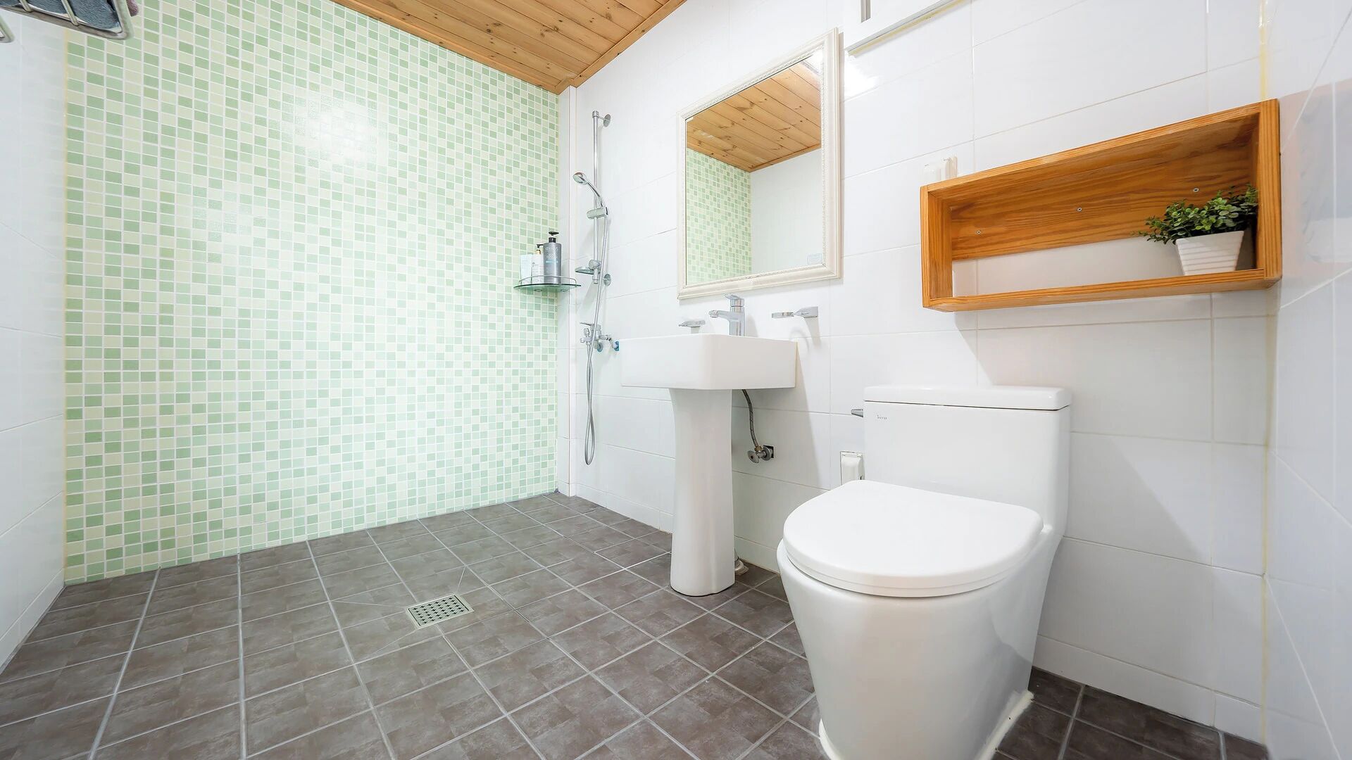 A bathroom with a shower, toilet, sink, and a wooden shelf with a plant.