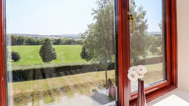 Ein Fenster mit Blick auf ein grünes Feld und Bäume.