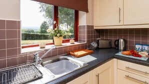 Eine Küche mit Spüle, Toaster und einem Fenster mit Blick auf Grünflächen.