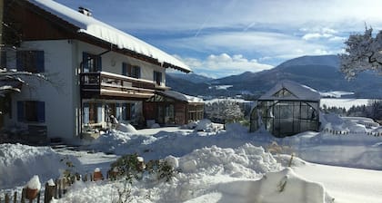 1 bedroom apartment in riedering