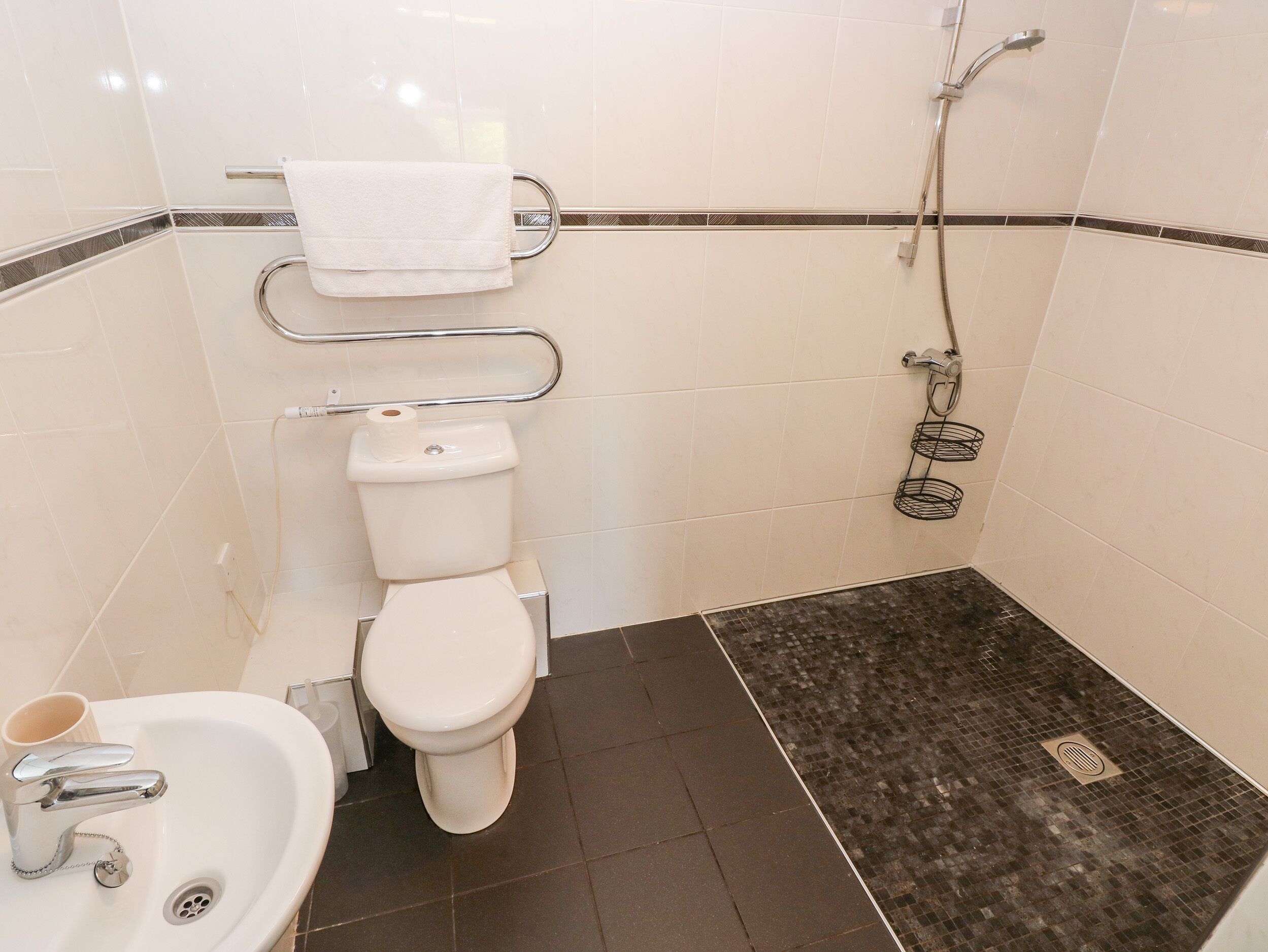 Een badkamer met toilet, wastafel en douche.