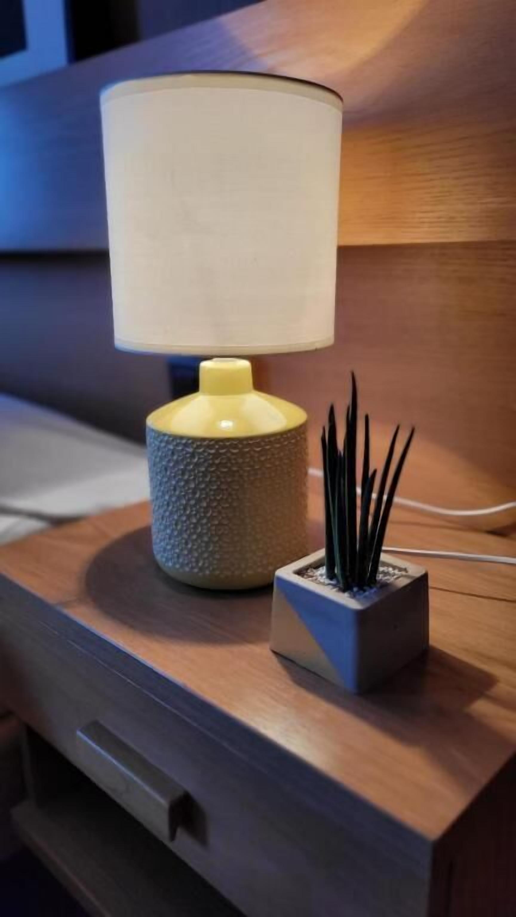 Ein Nachttisch mit einer Lampe und einem kleinen Topfpflanzen.