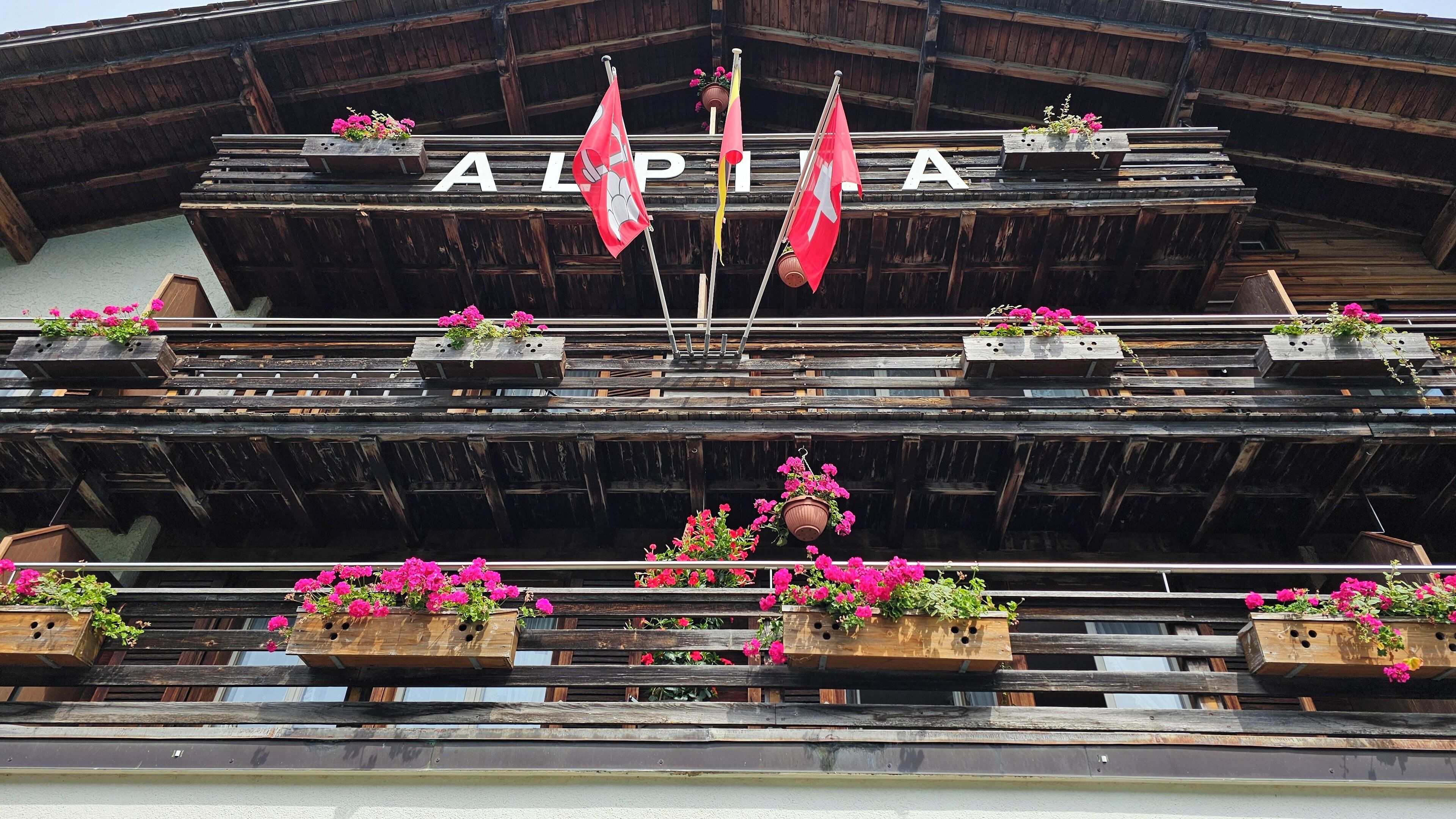 A building with the name "ALPIA" displayed prominently.