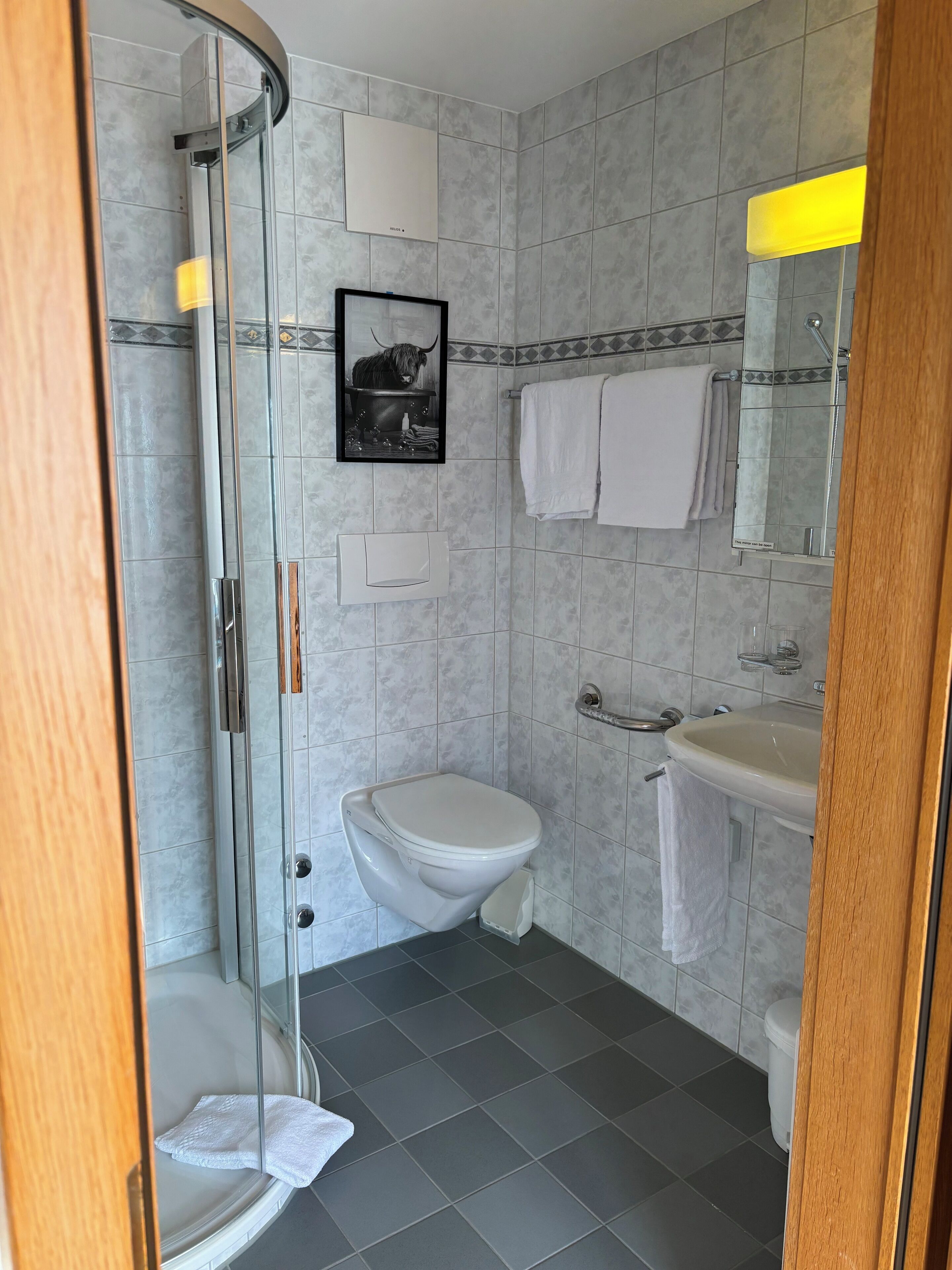 Ein modernes Badezimmer mit Duschkabine aus Glas, Toilette, Waschbecken und Spiegel.