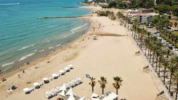 A beach with a row of palm trees, a sandy shore, and a few umbrellas.
