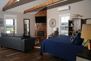 Smart TV, chimenea y libros