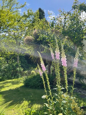 A garden with various plants and a lawn. - Pretty Cottage with Private Garden, Dulverton, Exmoor -  Pet-friendly (Dulverton)