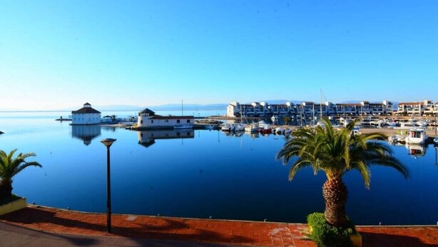 A marina with boats, a white building, and a palm tree.