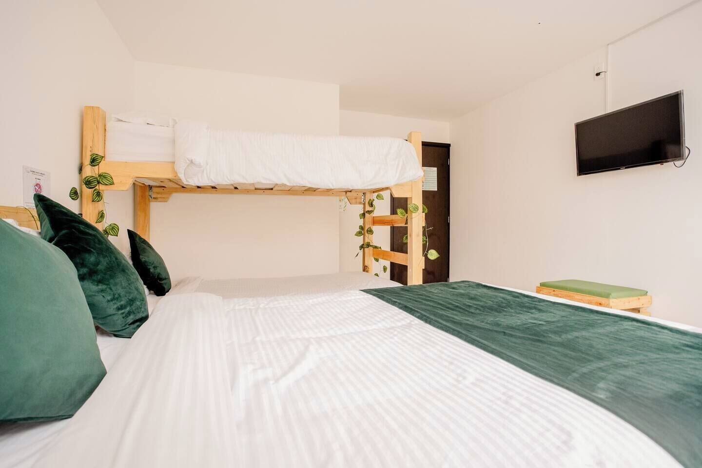 Foto - Hotel Natural Sevgi