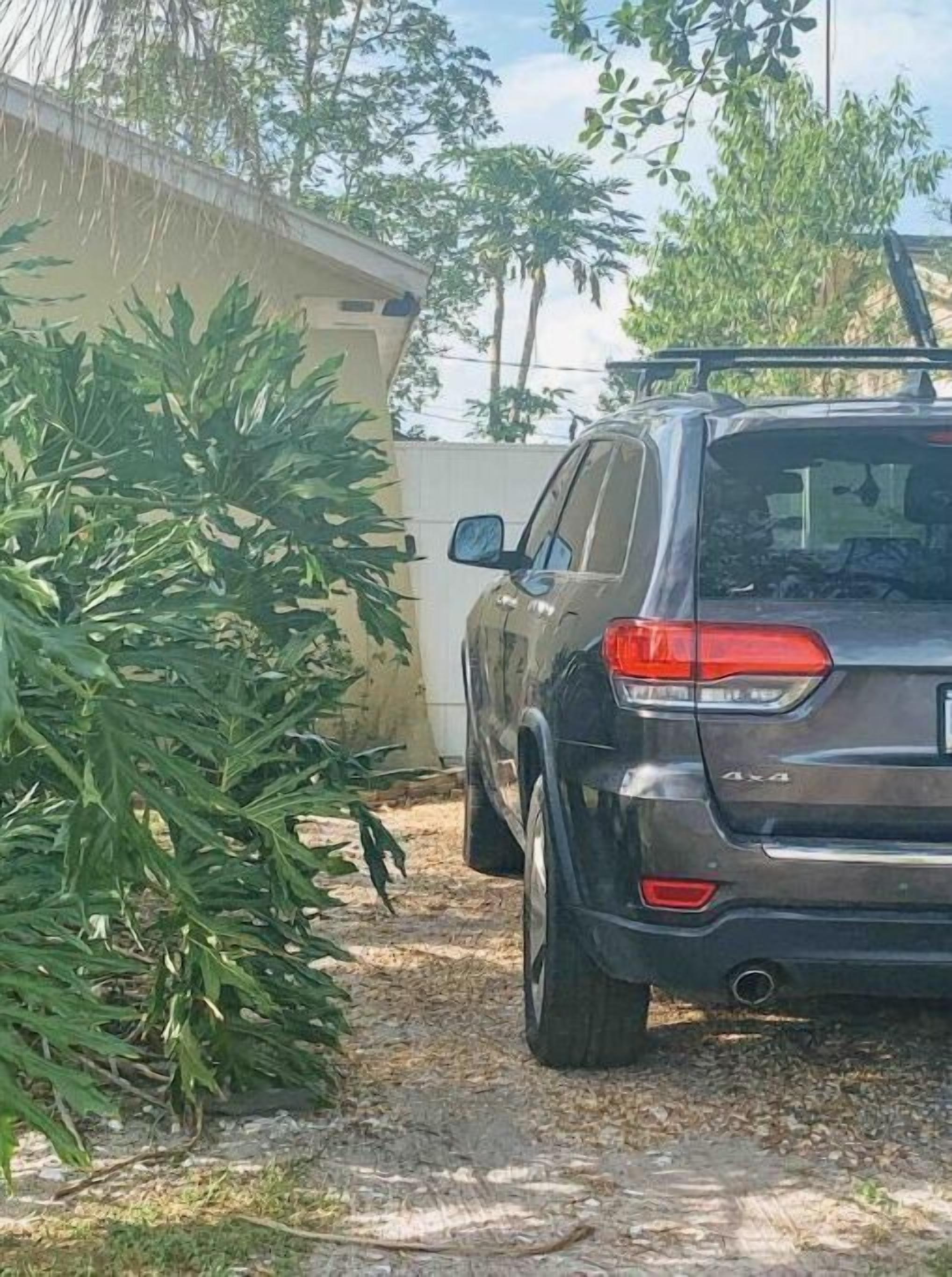 A vehicle parked in a driveway with a large plant in the foreground.