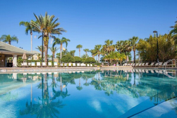 Relax by the serene pool surrounded by palm trees and lounge chairs.