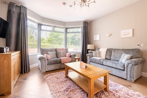 Smart TV, fireplace, books, music library