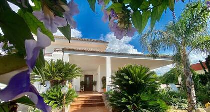 The Rosa's Luxury House