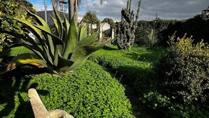 Un giardino con diverse piante, tra cui una palma e un cactus, e una scultura in pietra.