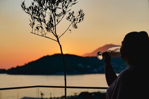 Vista desde la propiedad