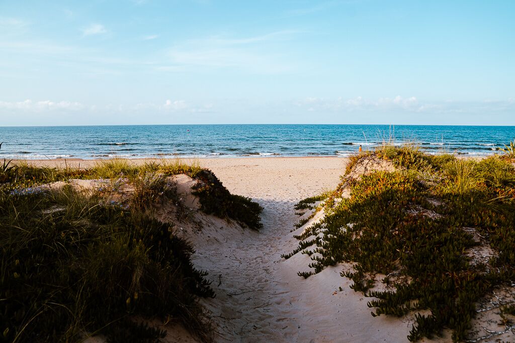 Ubicación cercana a la playa y tumbonas