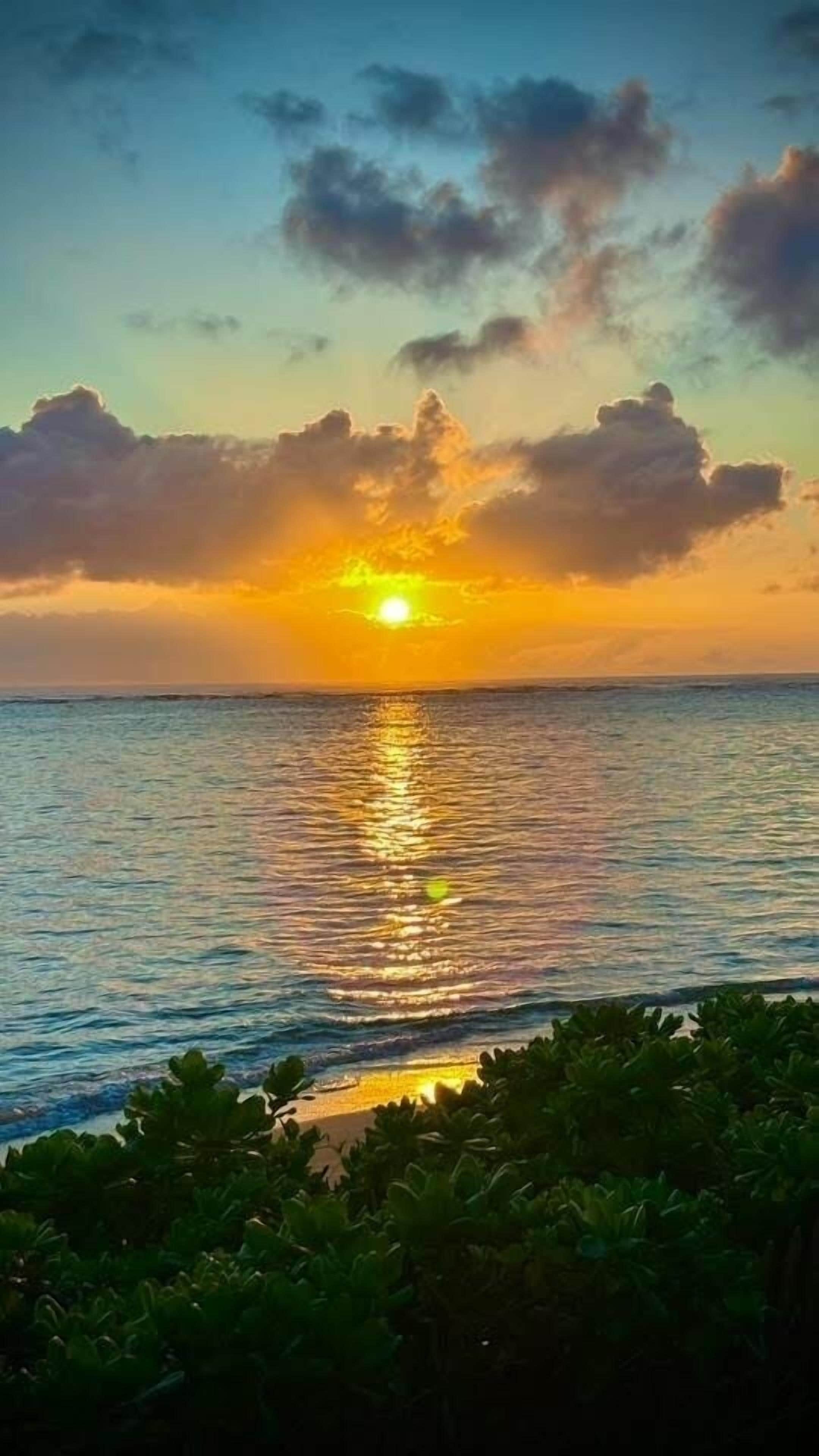 On the beach, sun loungers, beach towels