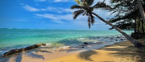 Plage, chaises longues, serviettes de plage