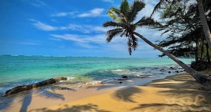 Turtle Beachfront, snorkeling, free parking, wash-dryer in unit, New bigger AC.