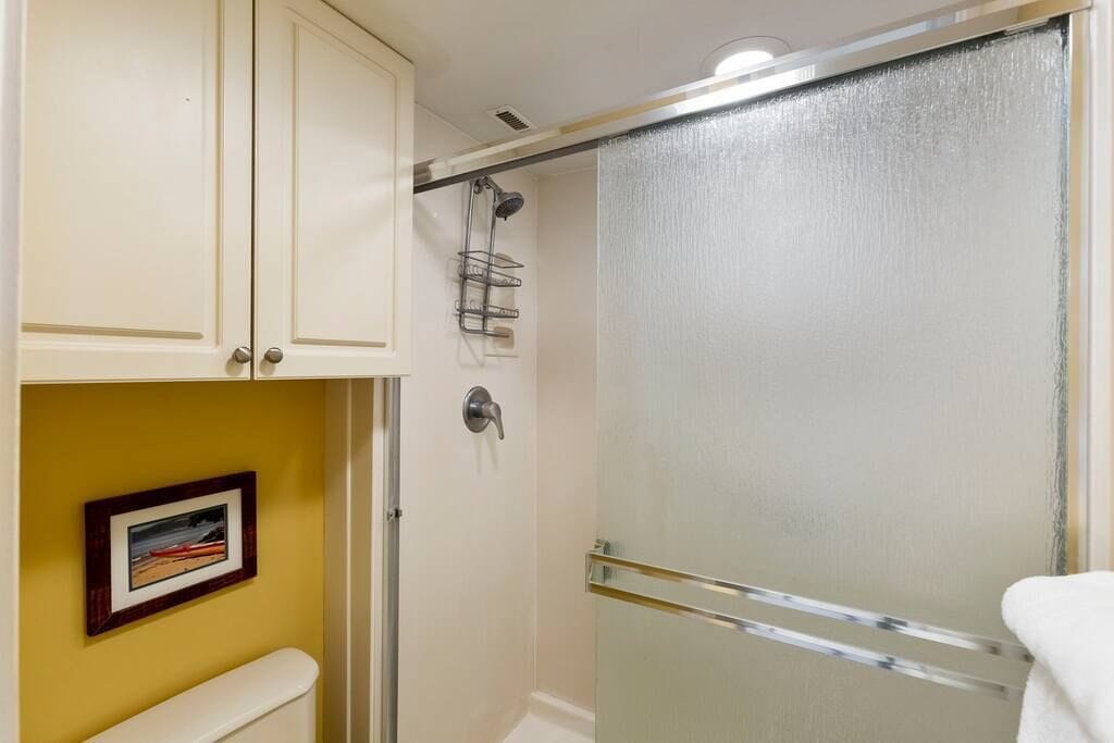 Bathtub, hair dryer, towels, soap