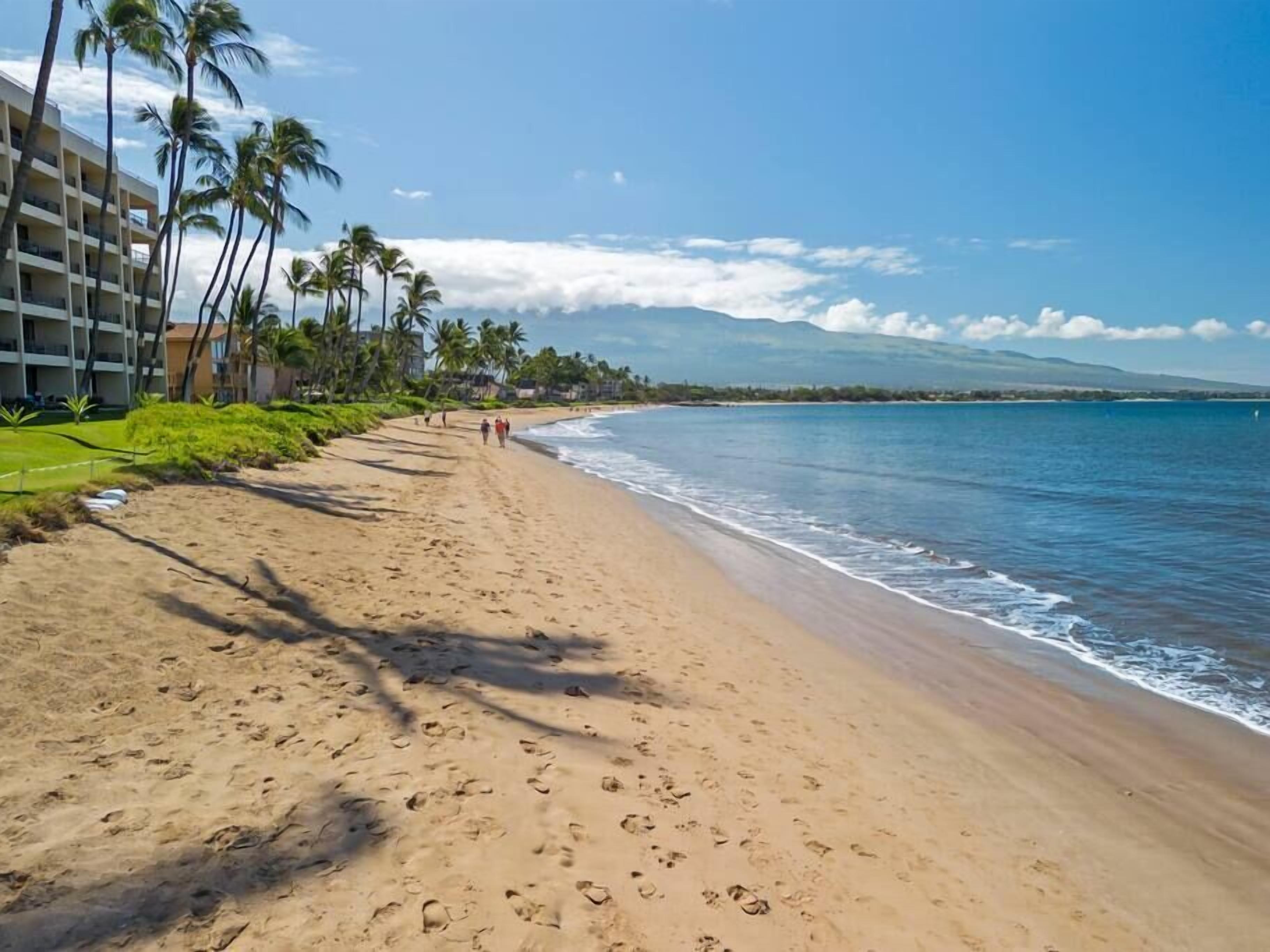 On the beach, sun loungers