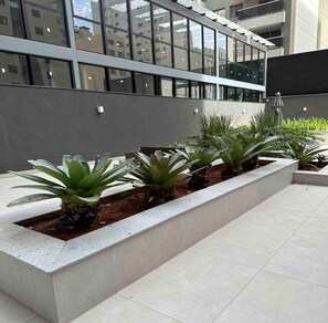 Área da propriedade