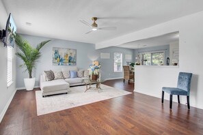 Fernseher, Arbeitsbereiche