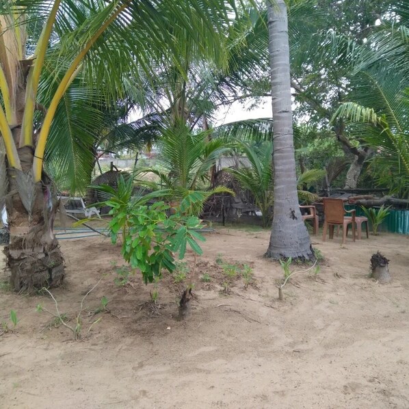 Garden - Summer Garden Arugambay (Arugam Bay)