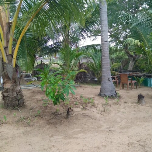 Summer Garden Arugambay 