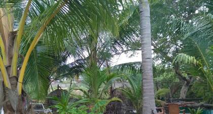 Summer Garden Arugambay