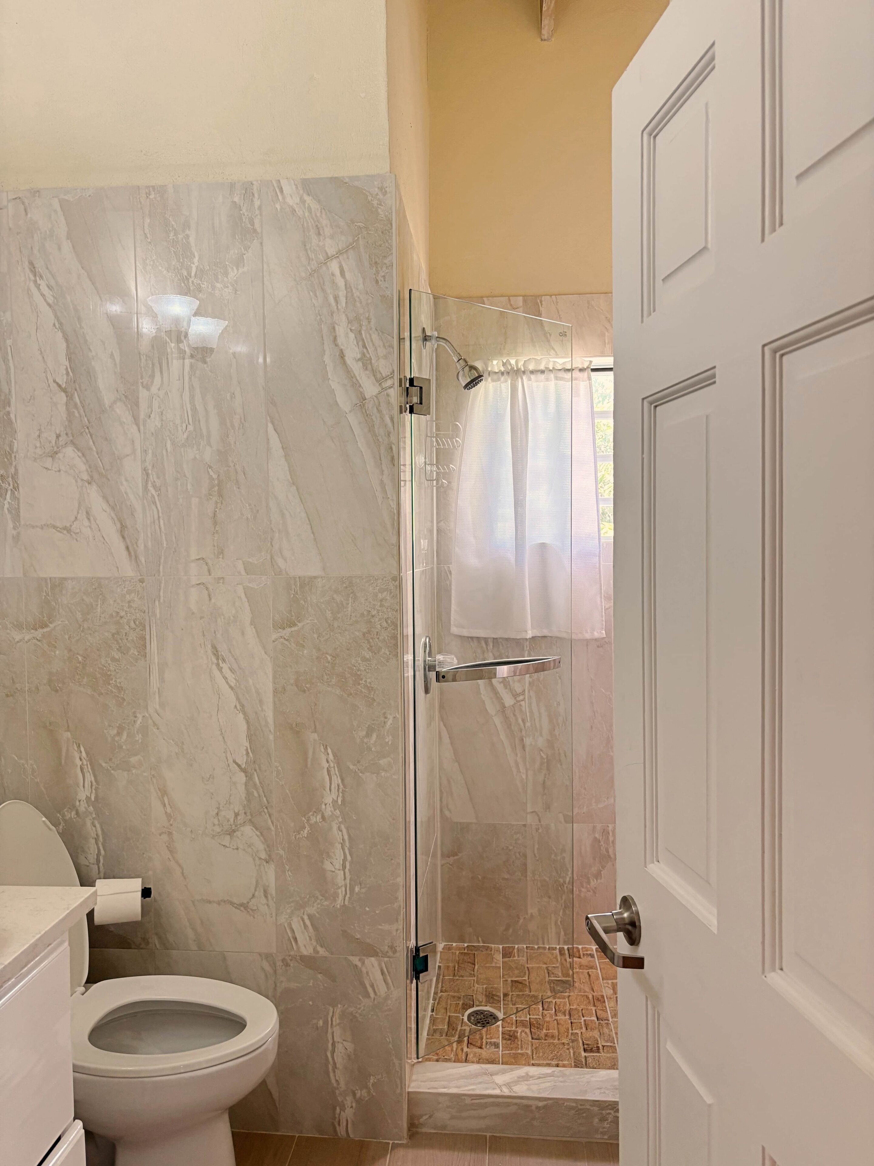 A bathroom with a toilet, a shower with a glass door, and a white door.