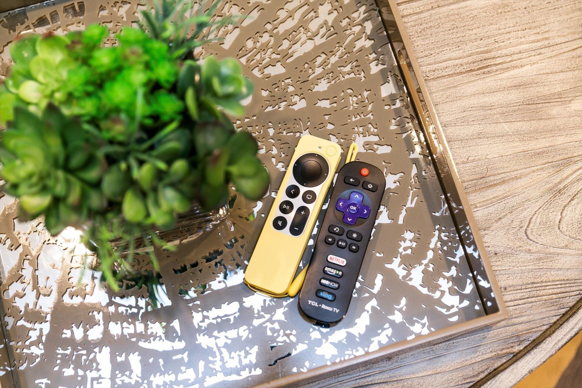 A tray with two remote controls and a green plant.