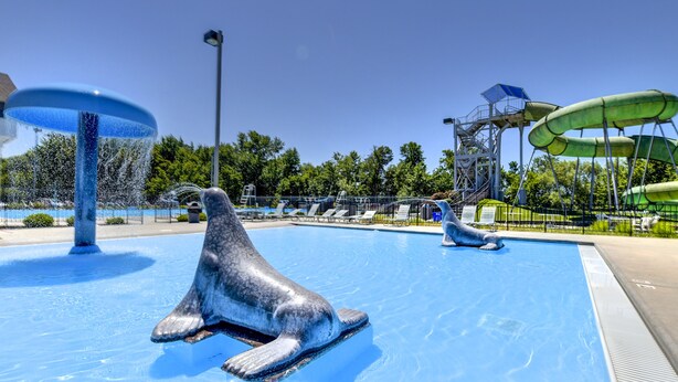 Una piscina con dos estatuas de delfines, un tobogán de agua y una estructura de sombrilla.