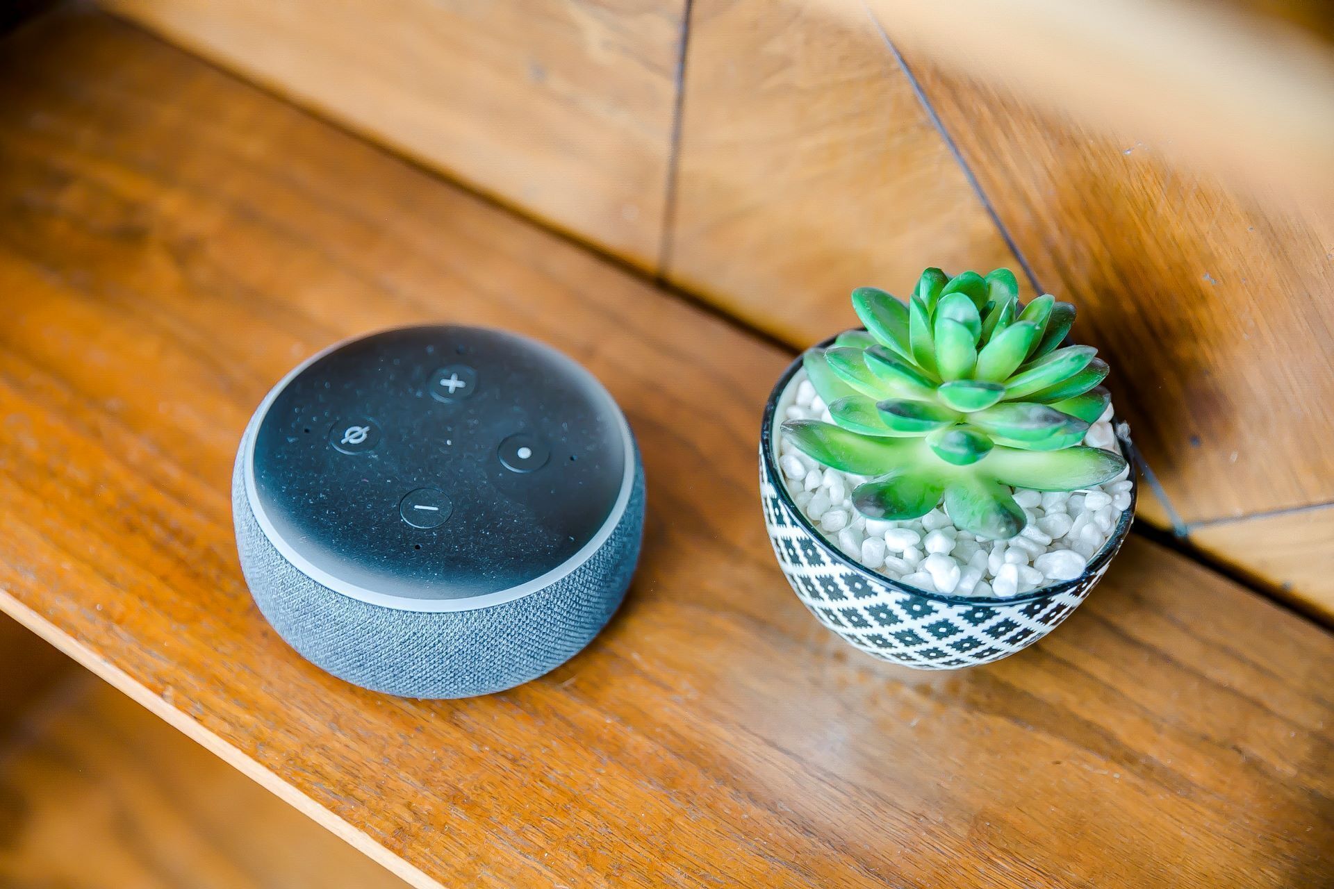 A smart speaker and a small potted succulent on a wooden surface.