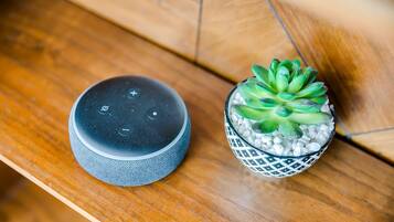 A smart speaker and a small potted succulent on a wooden surface.