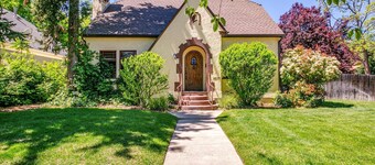 The Brandy Alexander