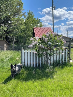 Enceinte de lâhĂ©bergement