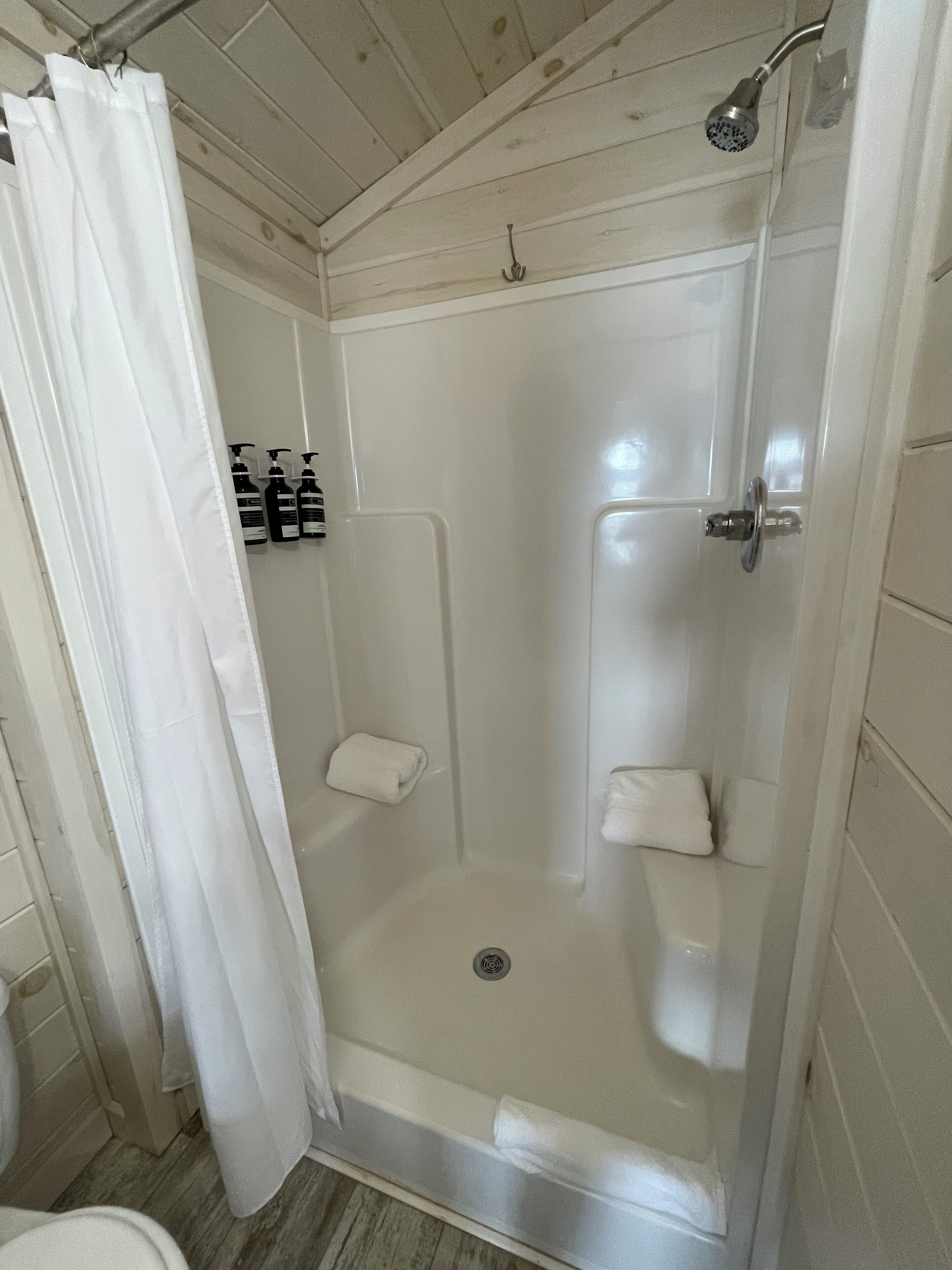 Une douche avec une porte en verre, un porte-serviettes avec des bouteilles et un pommeau de douche.
