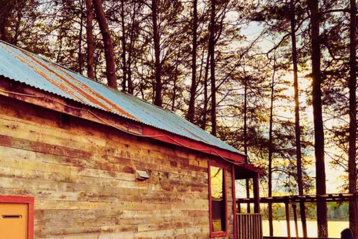 A rustic wooden cabin with a corrugated metal roof, surrounded by tall trees.
