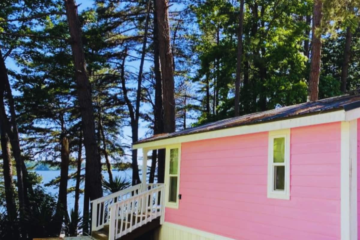 A pink cabin with a white balcony, surrounded by tall trees and a body of water.