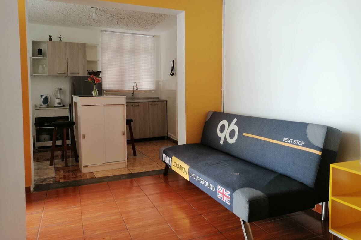 Economy Apartment | Private kitchen | Mini-fridge, microwave, blender, coffee grinder